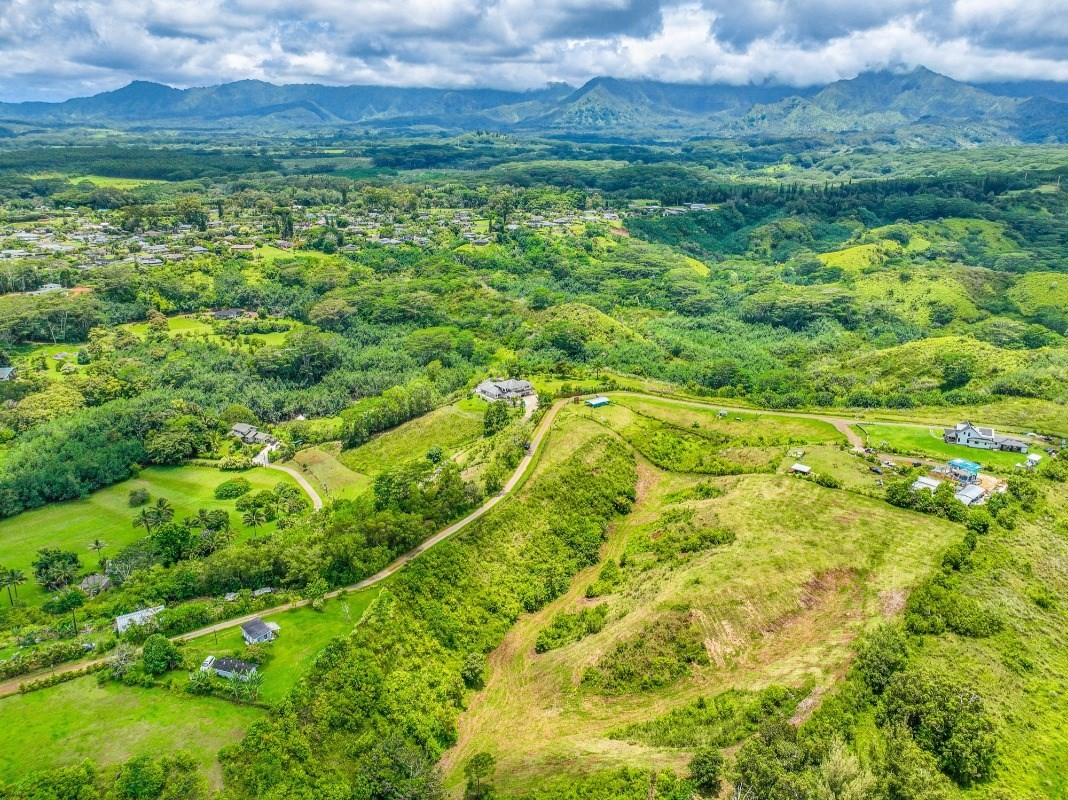 6596 Poo Road, Unit 5 Kapaa, HI 96746 - Photo 7 of 19 a view of a big yard with lots of green space