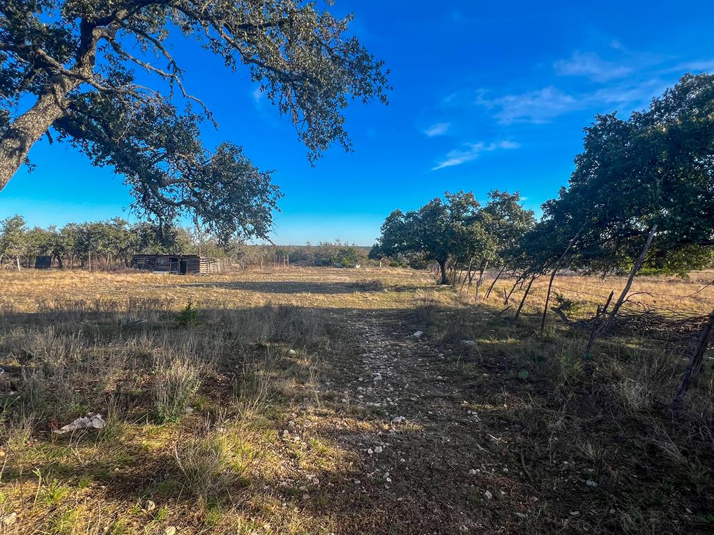 420 Ell Road Mountain Home, TX 78058 - Photo 15 of 17