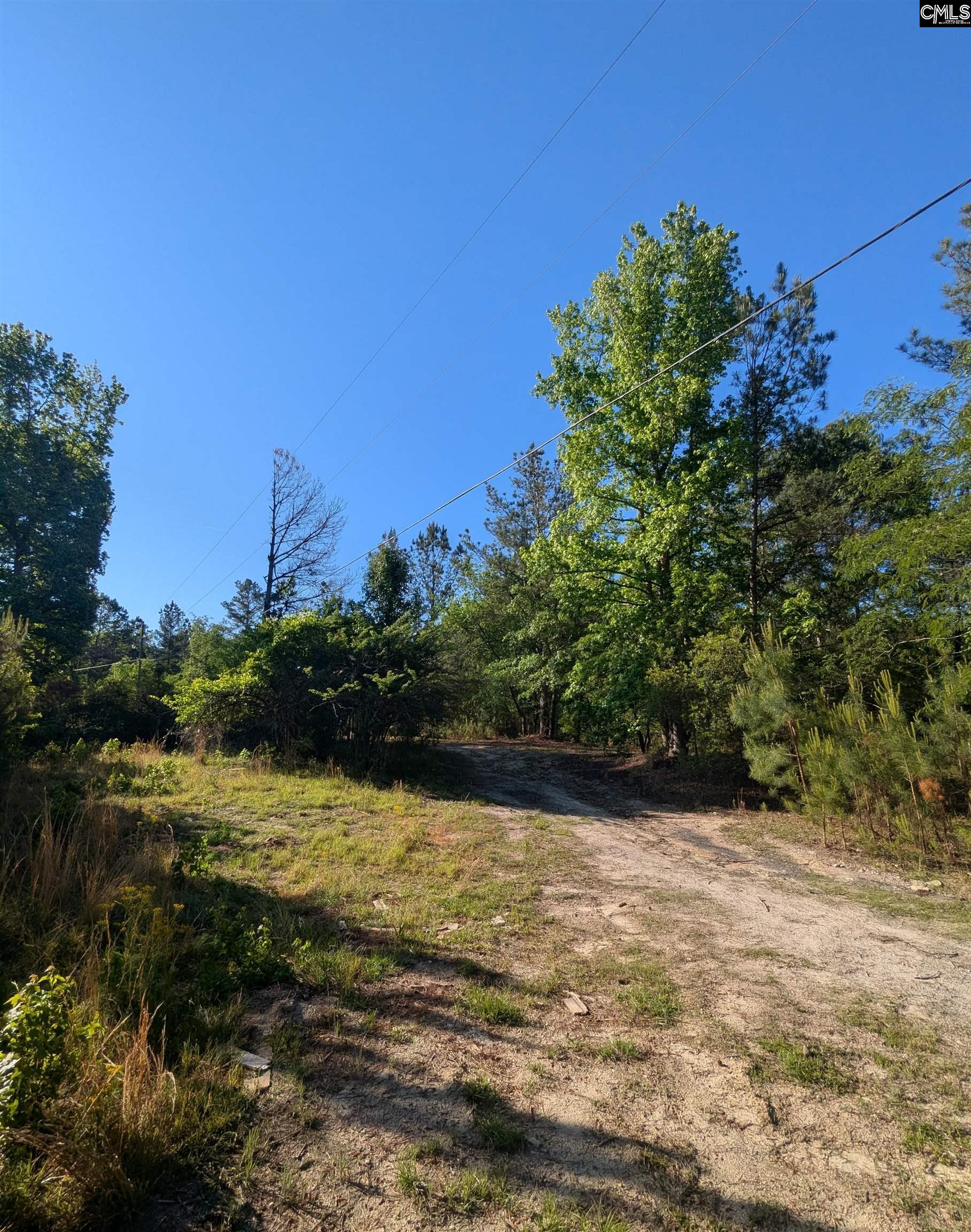 1089 Chestnut Hill Road Elgin, SC 29045 - Photo 15 of 17