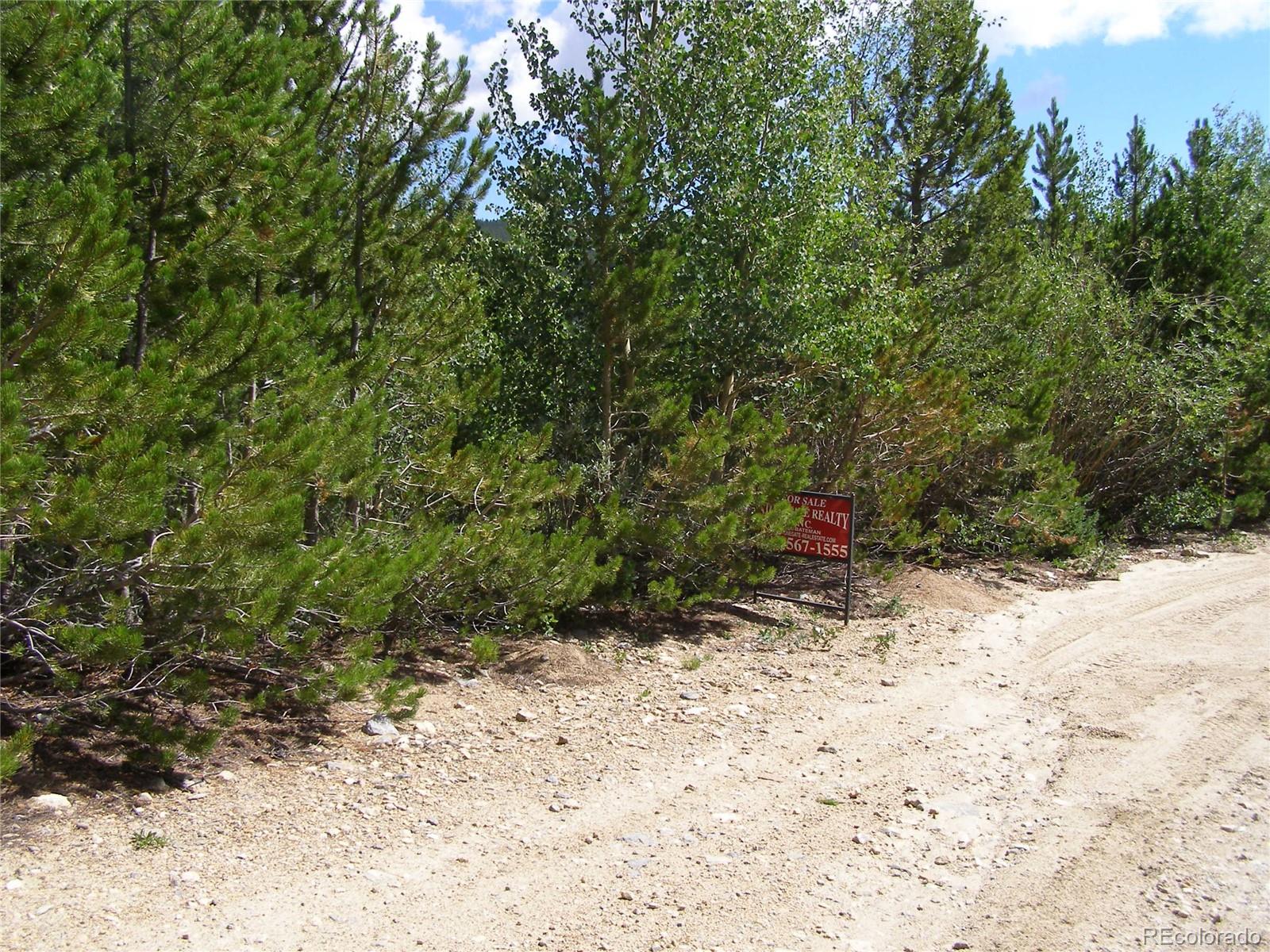 Lot 332 Eva Road Idaho Springs, CO 80452 - Photo 4 of 7 Gallery Image 4
