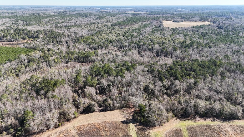 Vacant Kelly-Collins Road Climax, GA 39834 - Photo 5 of 65 Gallery Image 5