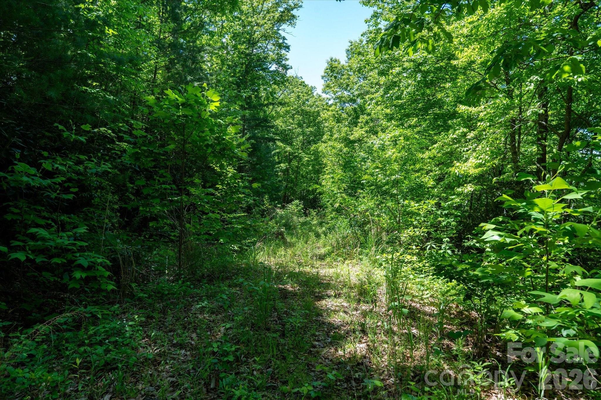 99999 Winding Ridge Road Fairview, NC 28730 - Photo 12 of 15