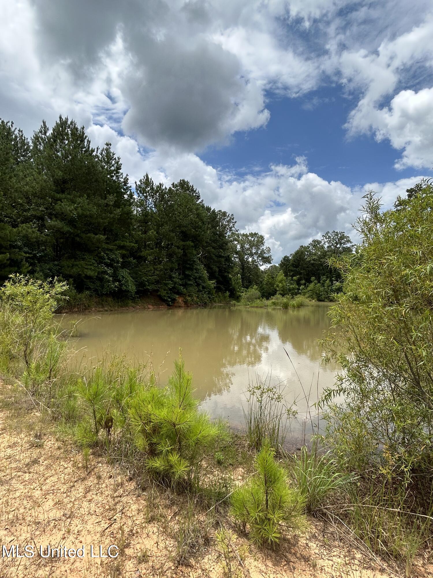 916 White Road Florence, MS 39073 - Photo 6 of 14 White Rd 6