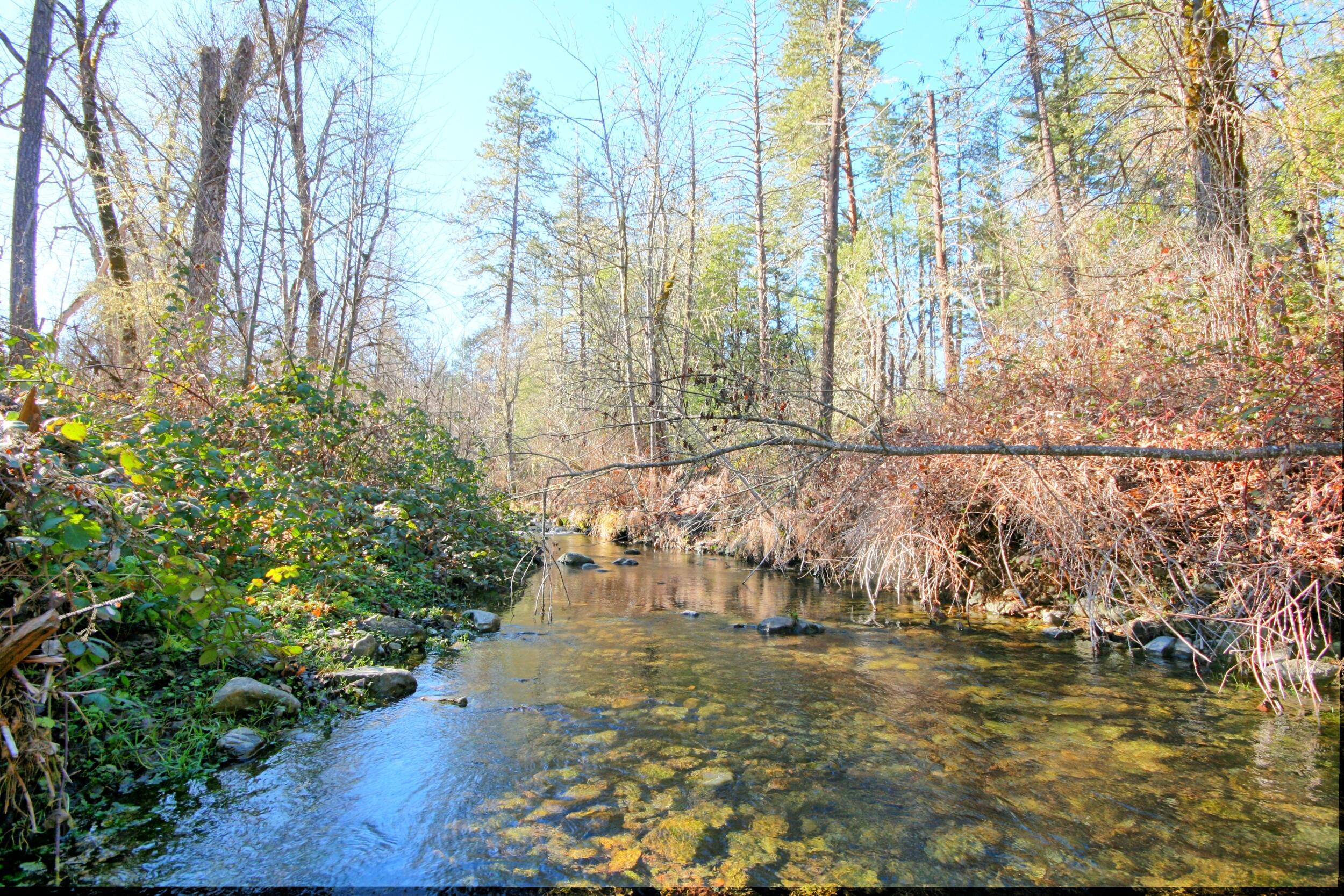 5000 Thompson Creek Road Jacksonville, OR 97530 - Photo 4 of 70 IMG_8884_5_6_easyHDR