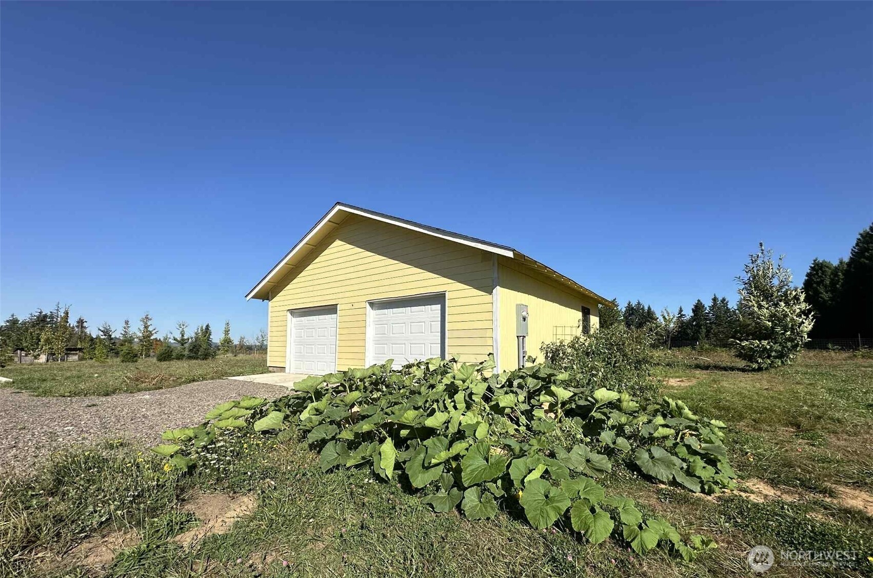 165 Swigert Road Mossyrock, WA 98564 - Photo 35 of 39 Gallery Image 35