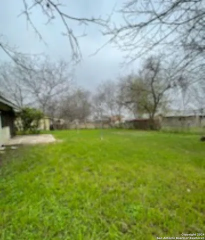 a view of yard with green space