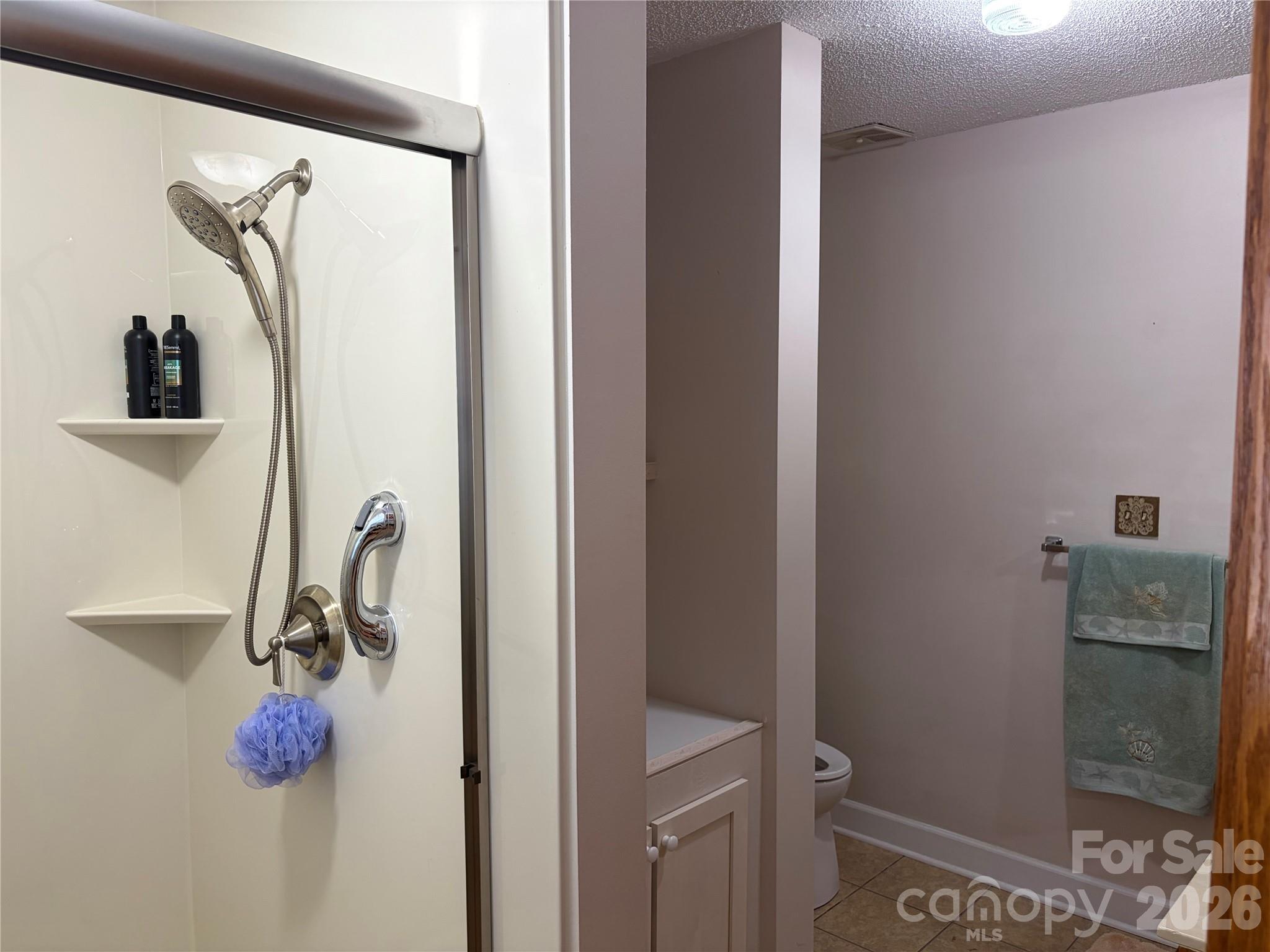 256 A Bruce Road Mars Hill, NC 28754 - Photo 27 of 39 a bathroom with a shower