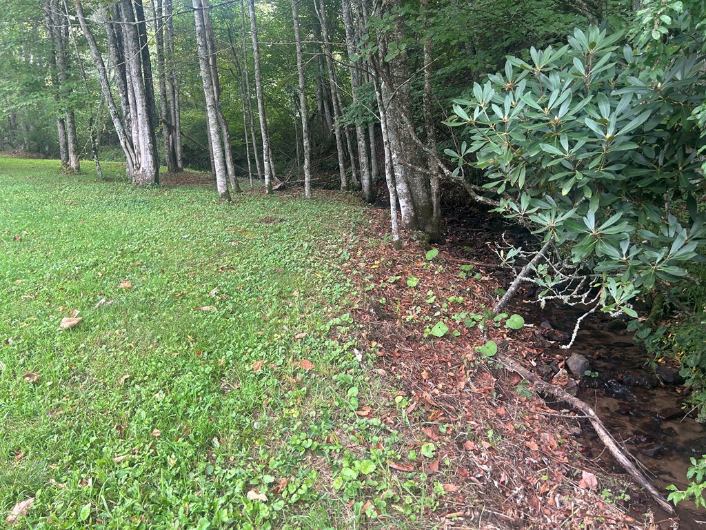 21240 Locust Branch Road Damascus, VA 24236 - Photo 27 of 57 Gallery Image 27
