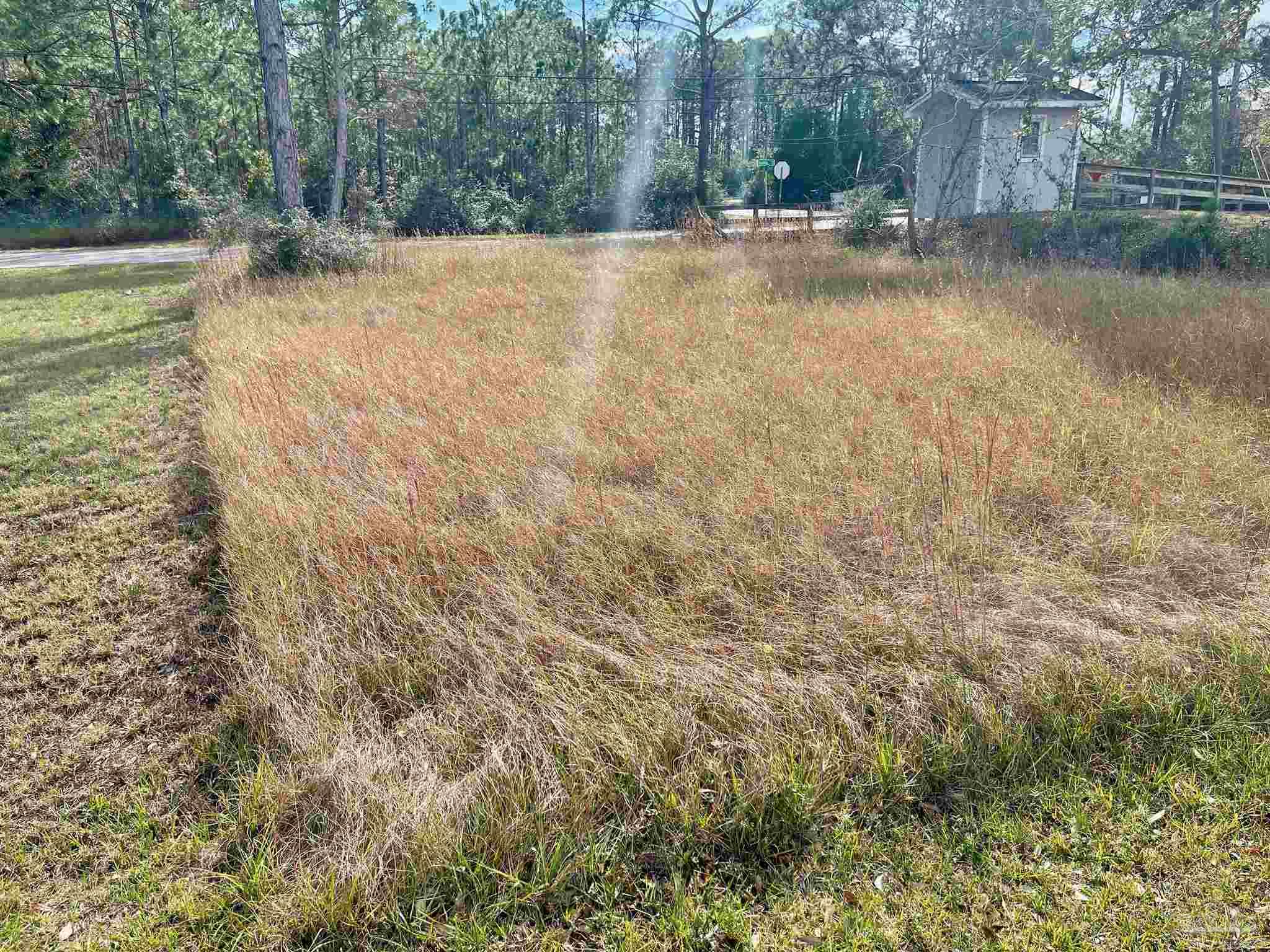 1001 Pearson Road Milton, FL 32583 - Photo 8 of 12 Gallery Image 8