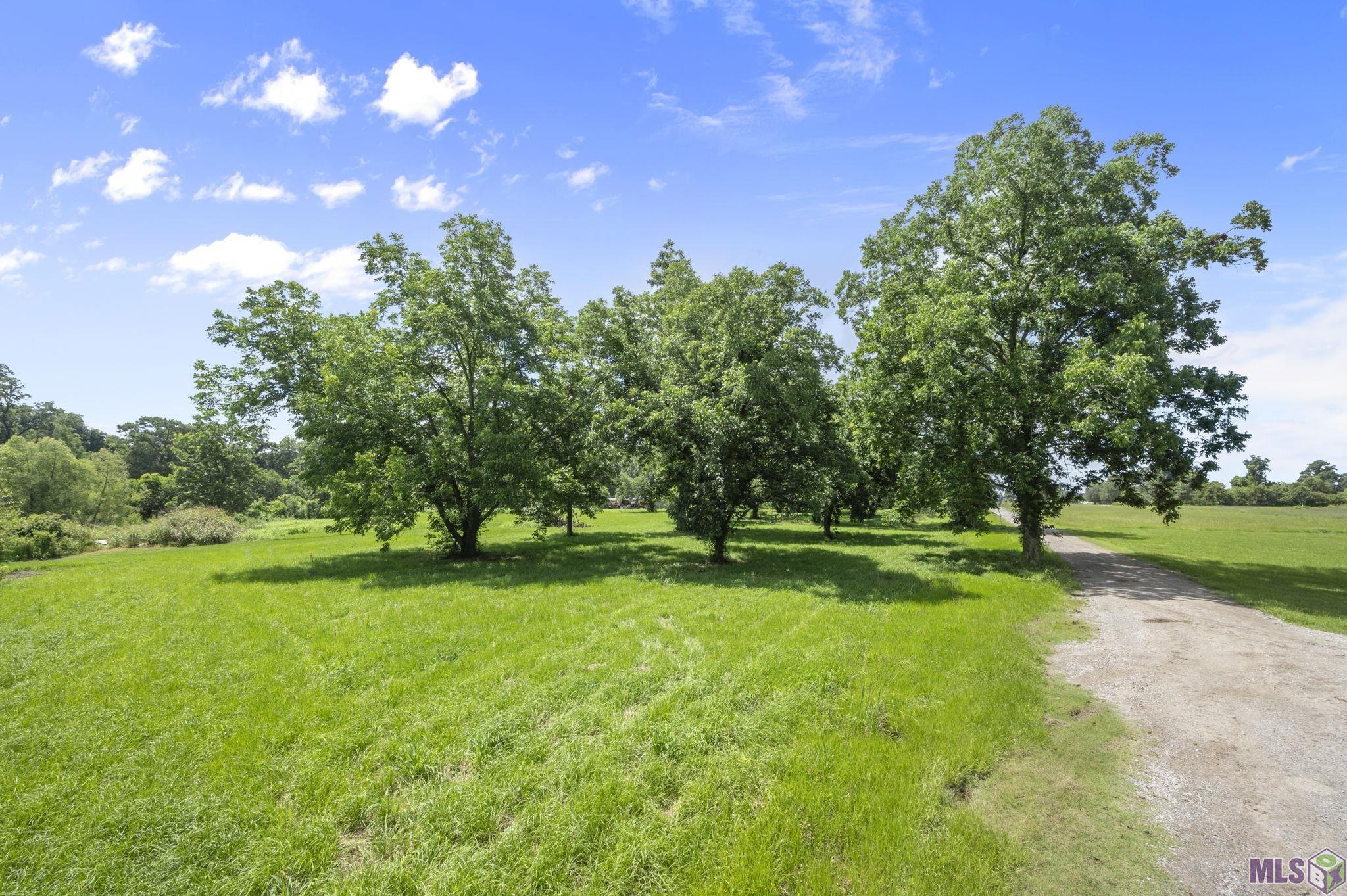 6676 Island Road Jarreau, LA 70749 - Photo 26 of 34