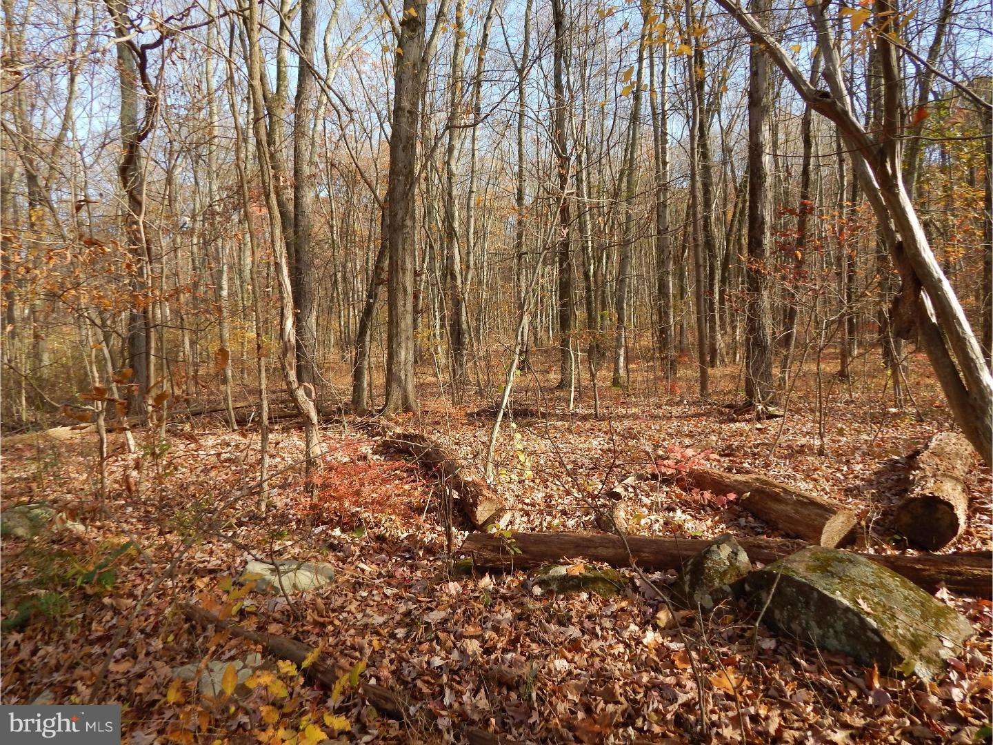 5 Camp Green Lane Road Green Lane, PA 18054 - Photo 1 of 14 Gallery Image 1