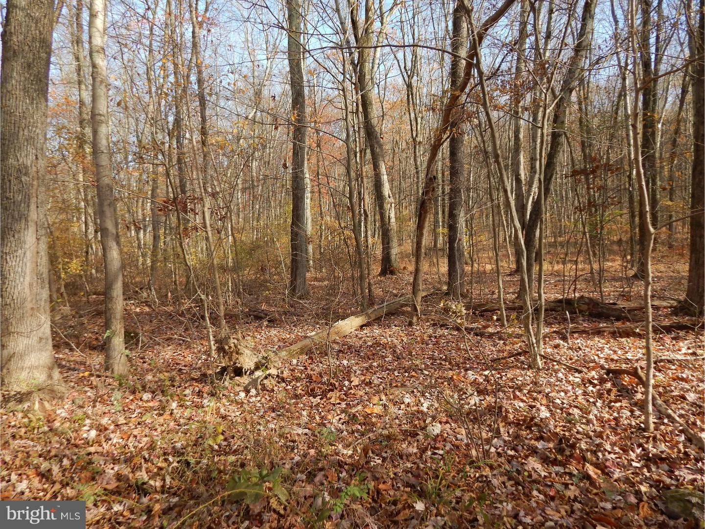 5 Camp Green Lane Road Green Lane, PA 18054 - Photo 2 of 14 Gallery Image 2
