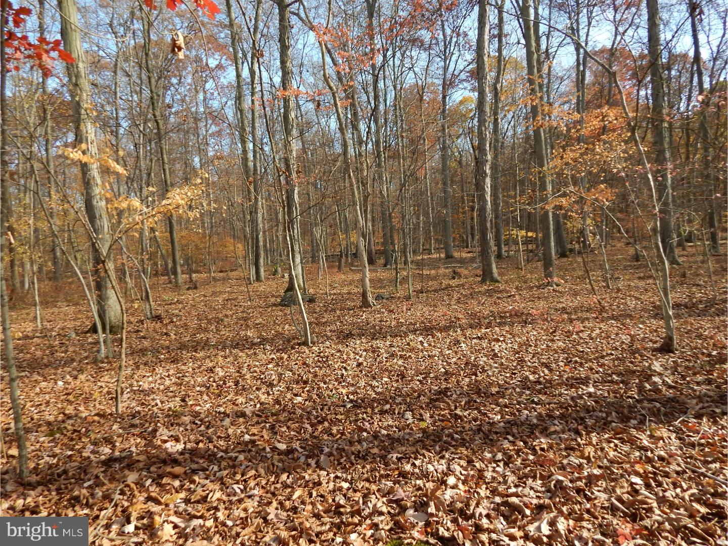 5 Camp Green Lane Road Green Lane, PA 18054 - Photo 11 of 14 Gallery Image 11
