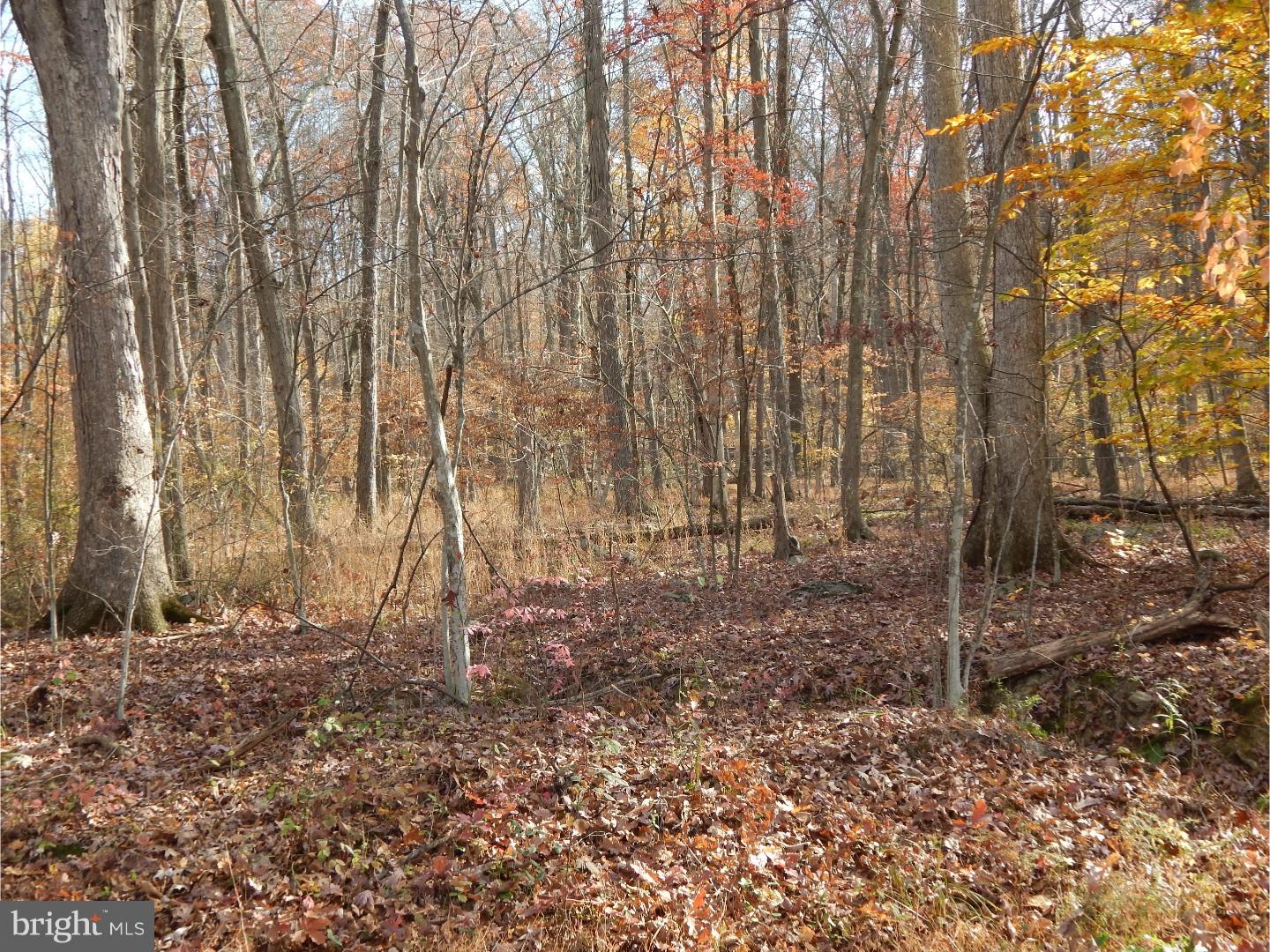 5 Camp Green Lane Road Green Lane, PA 18054 - Photo 12 of 14 Gallery Image 12