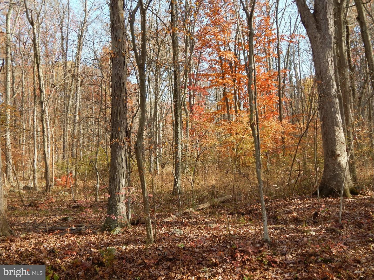 5 Camp Green Lane Road Green Lane, PA 18054 - Photo 13 of 14 Gallery Image 13