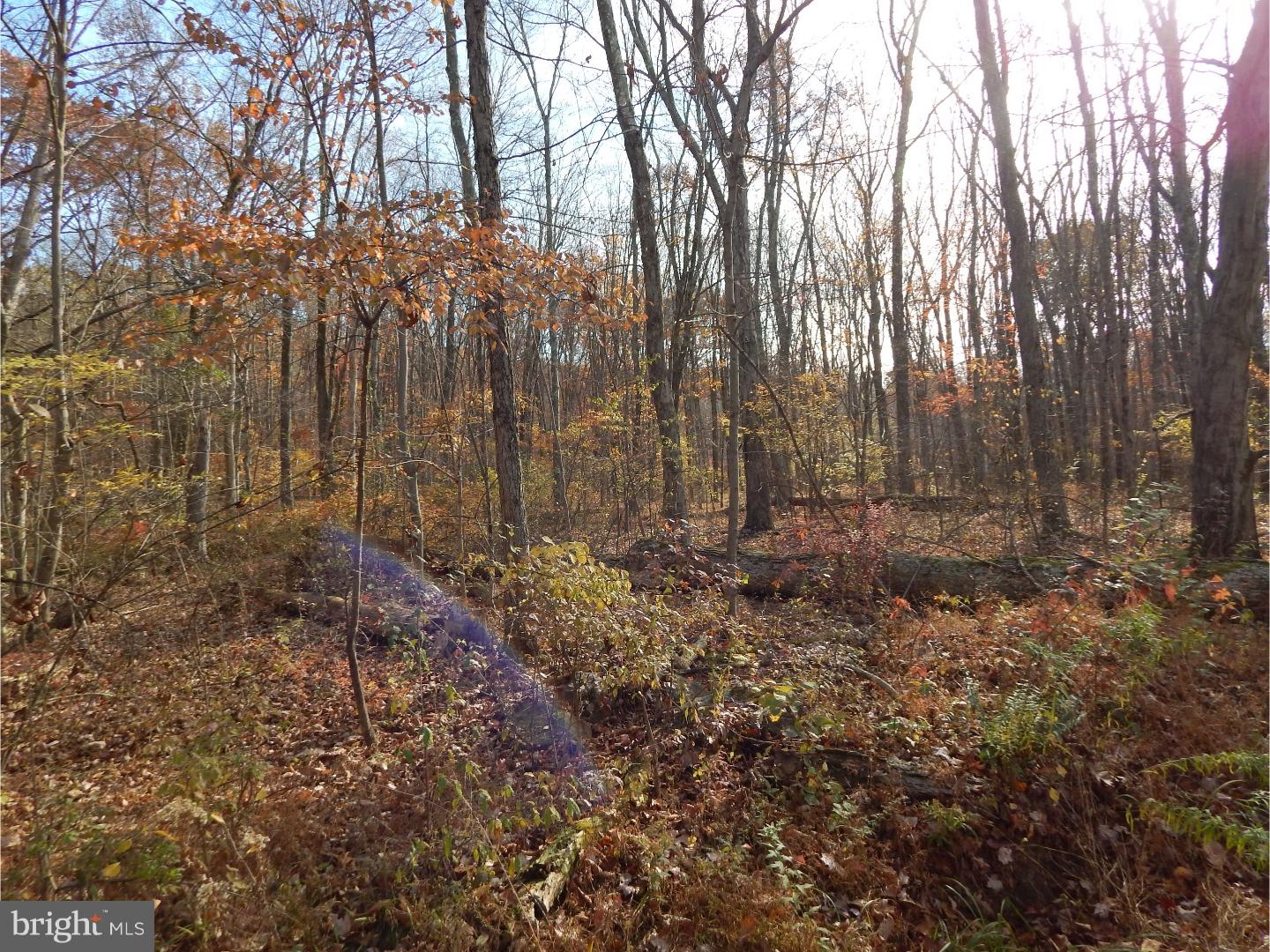 5 Camp Green Lane Road Green Lane, PA 18054 - Photo 4 of 14 Gallery Image 4
