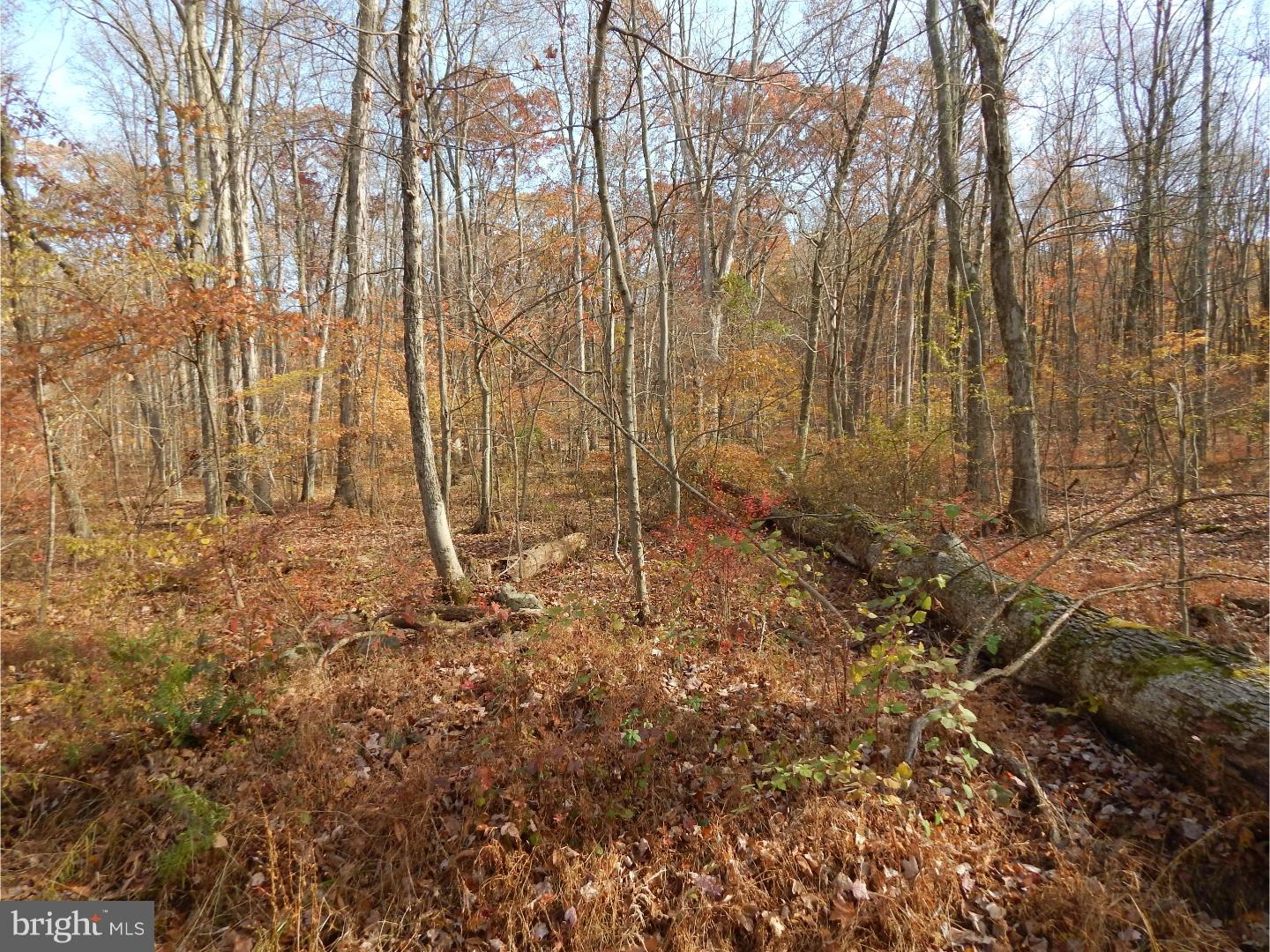 5 Camp Green Lane Road Green Lane, PA 18054 - Photo 5 of 14 Gallery Image 5