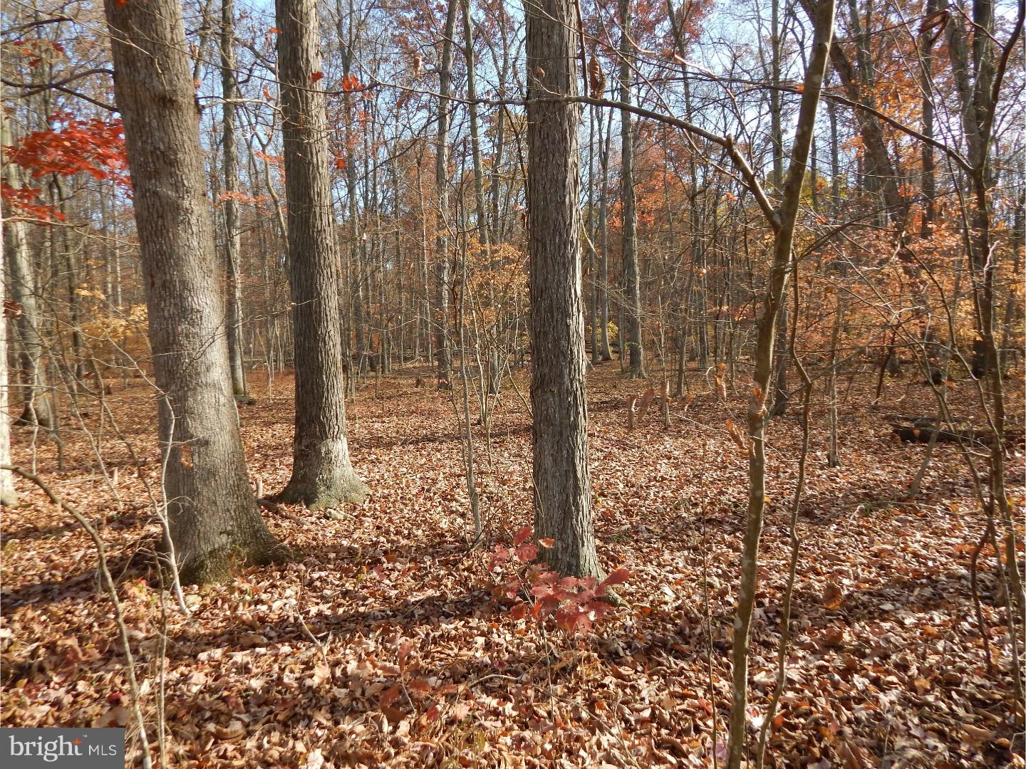 5 Camp Green Lane Road Green Lane, PA 18054 - Photo 9 of 14 Gallery Image 9