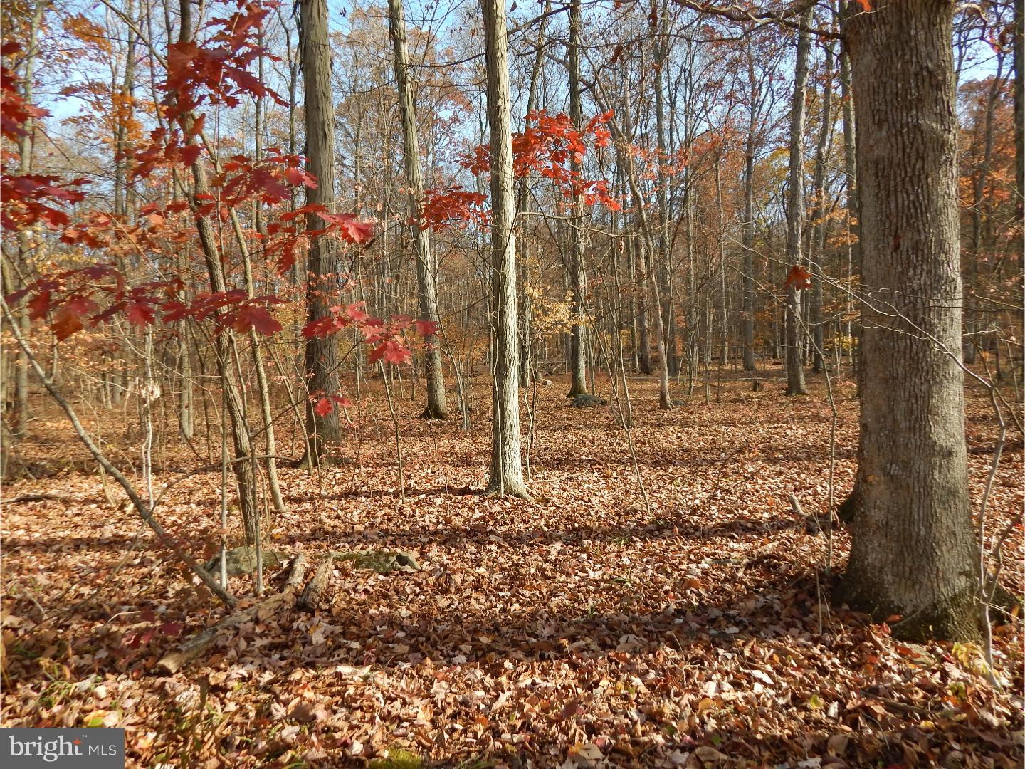 5 Camp Green Lane Road Green Lane, PA 18054 - Photo 10 of 14 Gallery Image 10