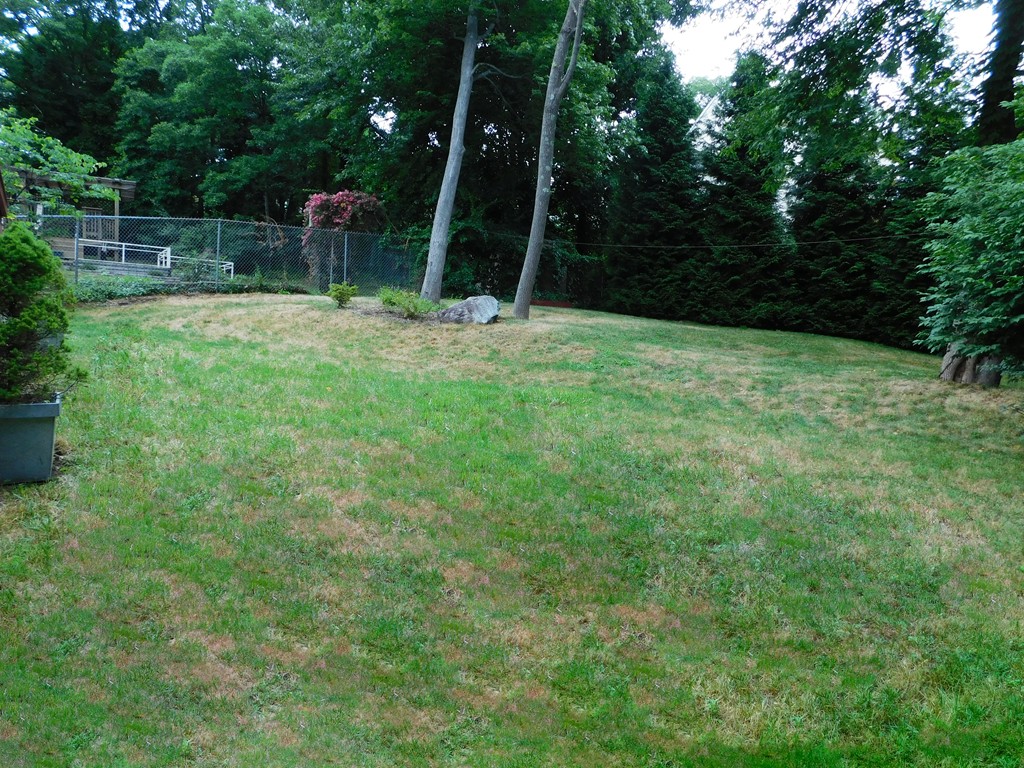 94 Greensboro Road Dedham, MA 02026 - Photo 4 of 28 Gallery Image 4