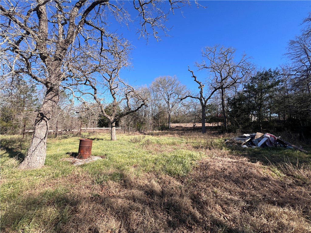 111 Pin Oak Circle Somerville, TX 77879 - Photo 8 of 11