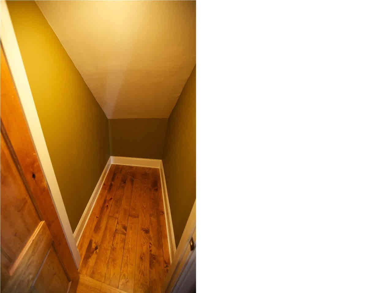 123 Lineage Lane Flowood, MS 39232 - Photo 15 of 39 Large broom closet/storage area.