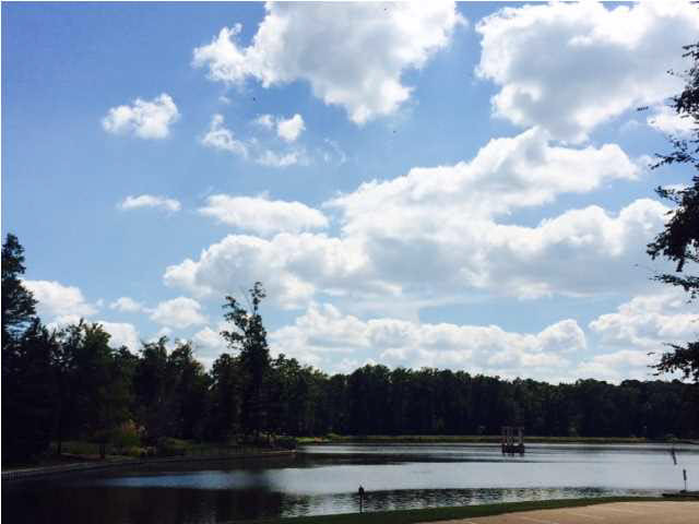 123 Lineage Lane Flowood, MS 39232 - Photo 38 of 39 Stocked neighborhood lake!