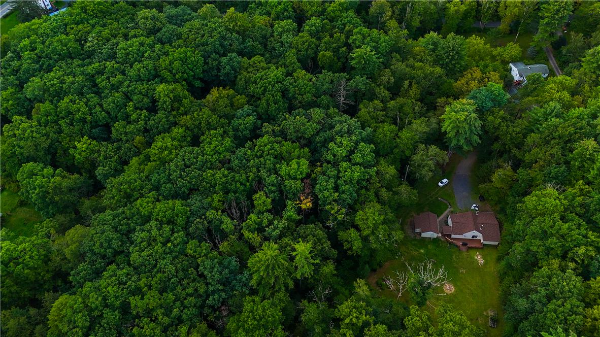 A secluded home sits nestled among a dense canopy of mature trees.