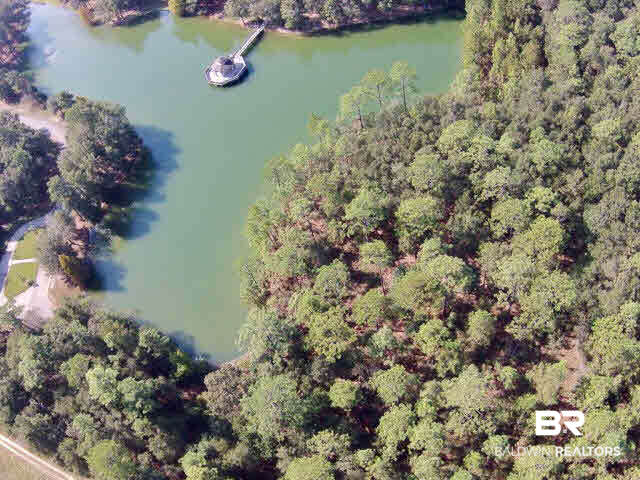 43 Shady Lane Clayton, AL 36016 - Photo 11 of 12