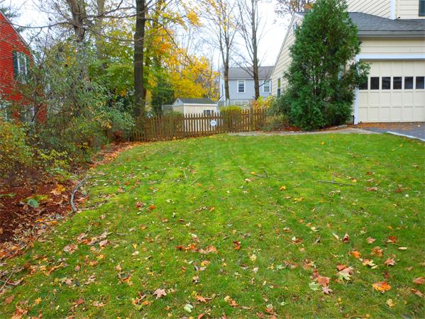 11 Denton Road Wellesley, MA 02482 - Photo 2 of 15