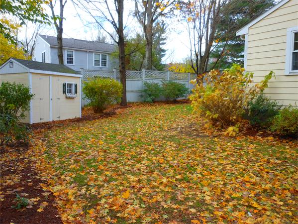 11 Denton Road Wellesley, MA 02482 - Photo 3 of 15