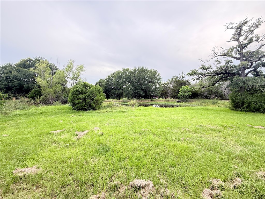 Tbd Wannabe Road Bryan, TX 77808 - Photo 12 of 42