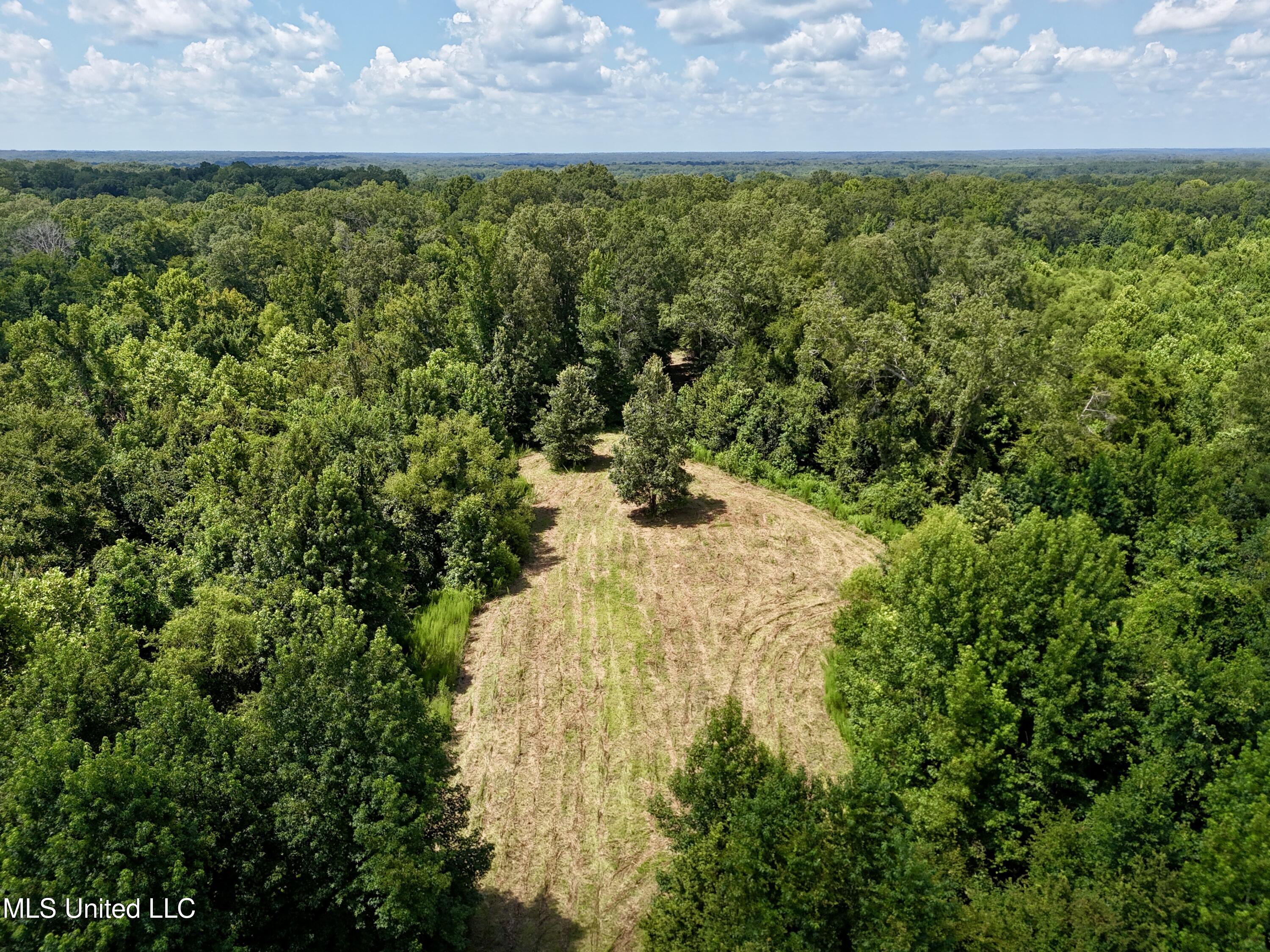 1 Coxs Ferry Road Bolton, MS 39041 - Photo 29 of 38 05E0D7E2-E345-4DC1-BDD2-F6371E596335