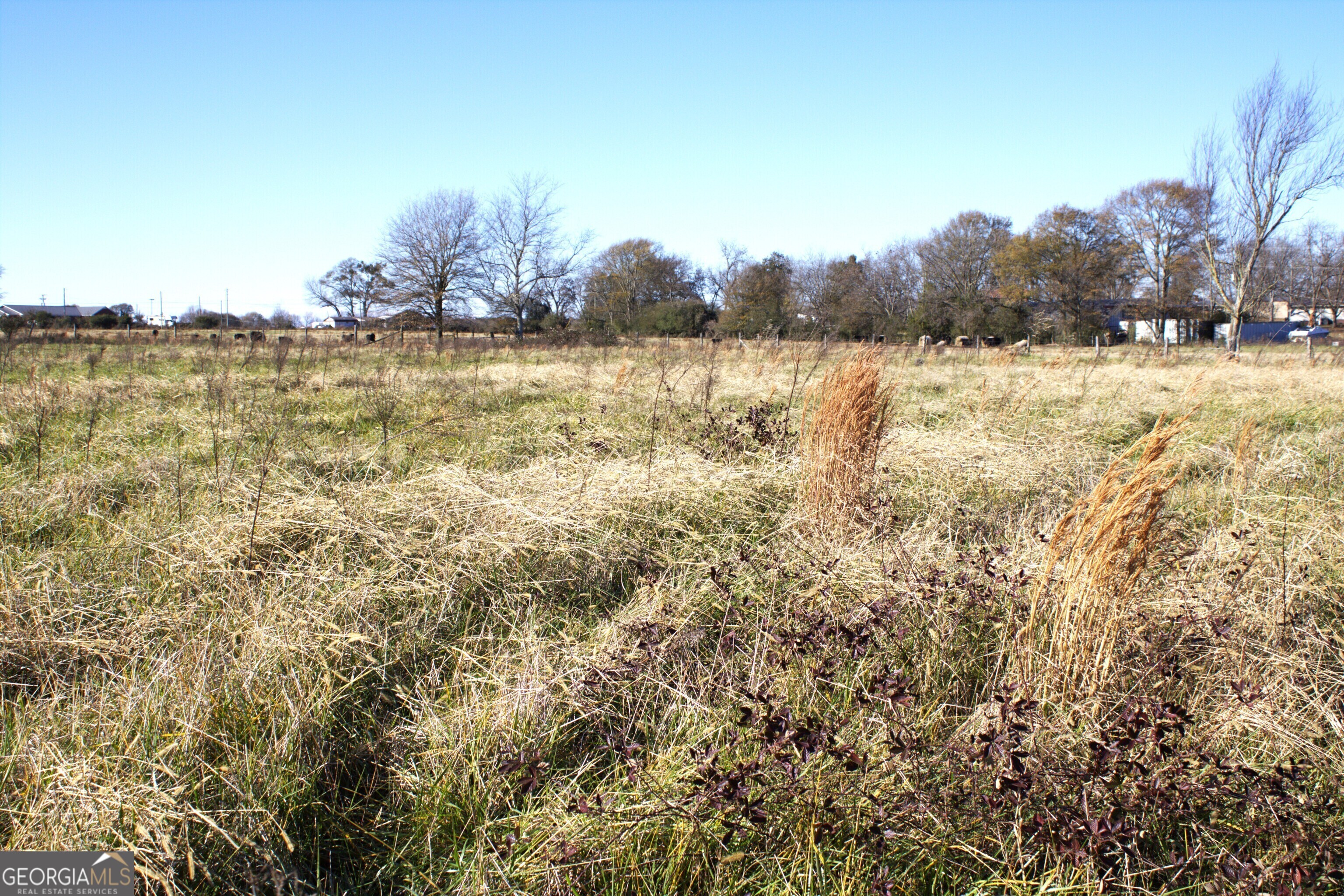 Tract 1 Seed Cleaner Hartwell, GA 30643 - Photo 9 of 10 a view of a lake view