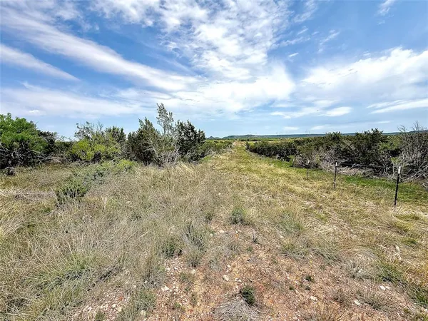 a view of a field of grass and trees
