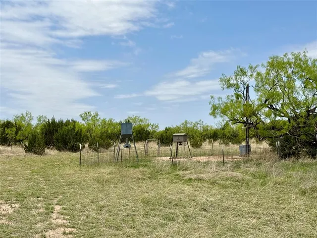a view of a field with an trees