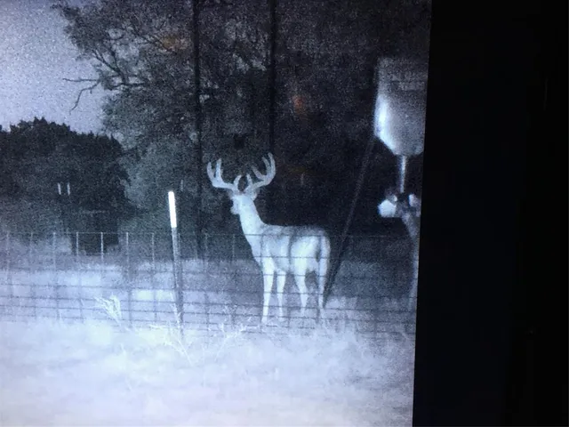 $895,000 | 631 Cr 352 Merkel Tx 79536, Merkel, TX 79536