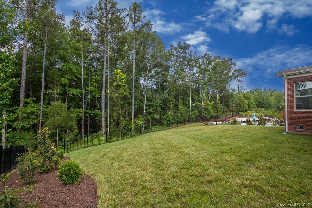 8037 Clems Branch Road, Unit 137 Indian Land, SC 29707 - Photo 23 of 24 a view of a backyard with plants and large trees