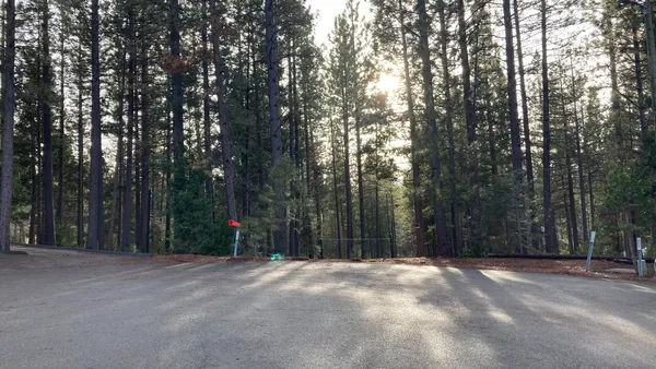 a view of outdoor space and trees