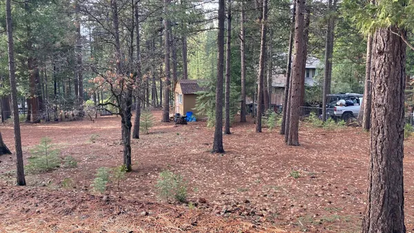 a view of a house with a tree in the forest