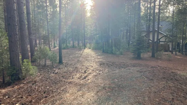 a view of a yard with trees in the background