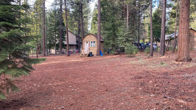 a view of a house with a yard and large trees