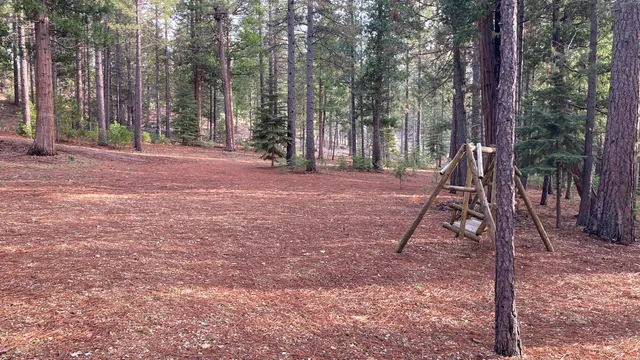 a backyard of a house with lots of green space