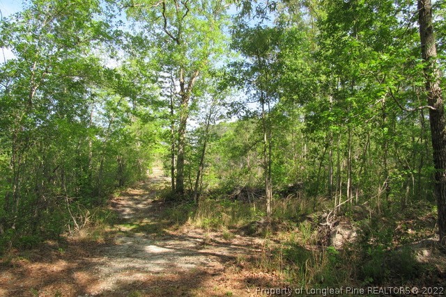 1036 Brooks Mangum Road Cameron, NC 28326 - Photo 20 of 22 Gallery Image 20