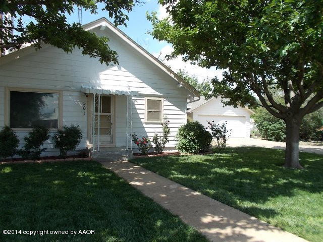 a view of a backyard with plants and large tree