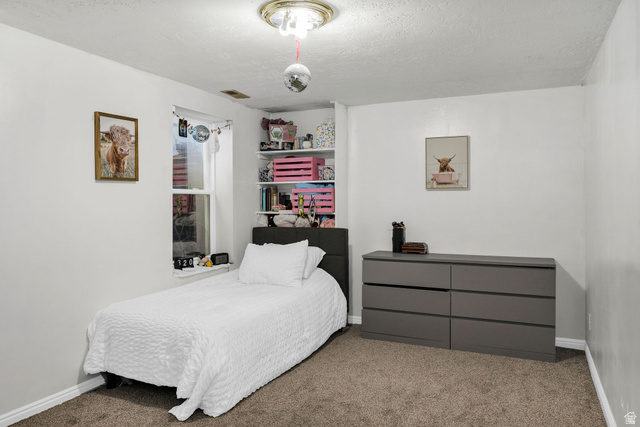 892 East 400 South Smithfield, UT 84335 - Photo 32 of 44 Carpeted bedroom featuring a textured ceiling and baseboards
