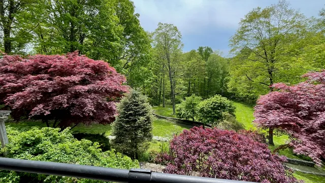 a view of outdoor space with a garden