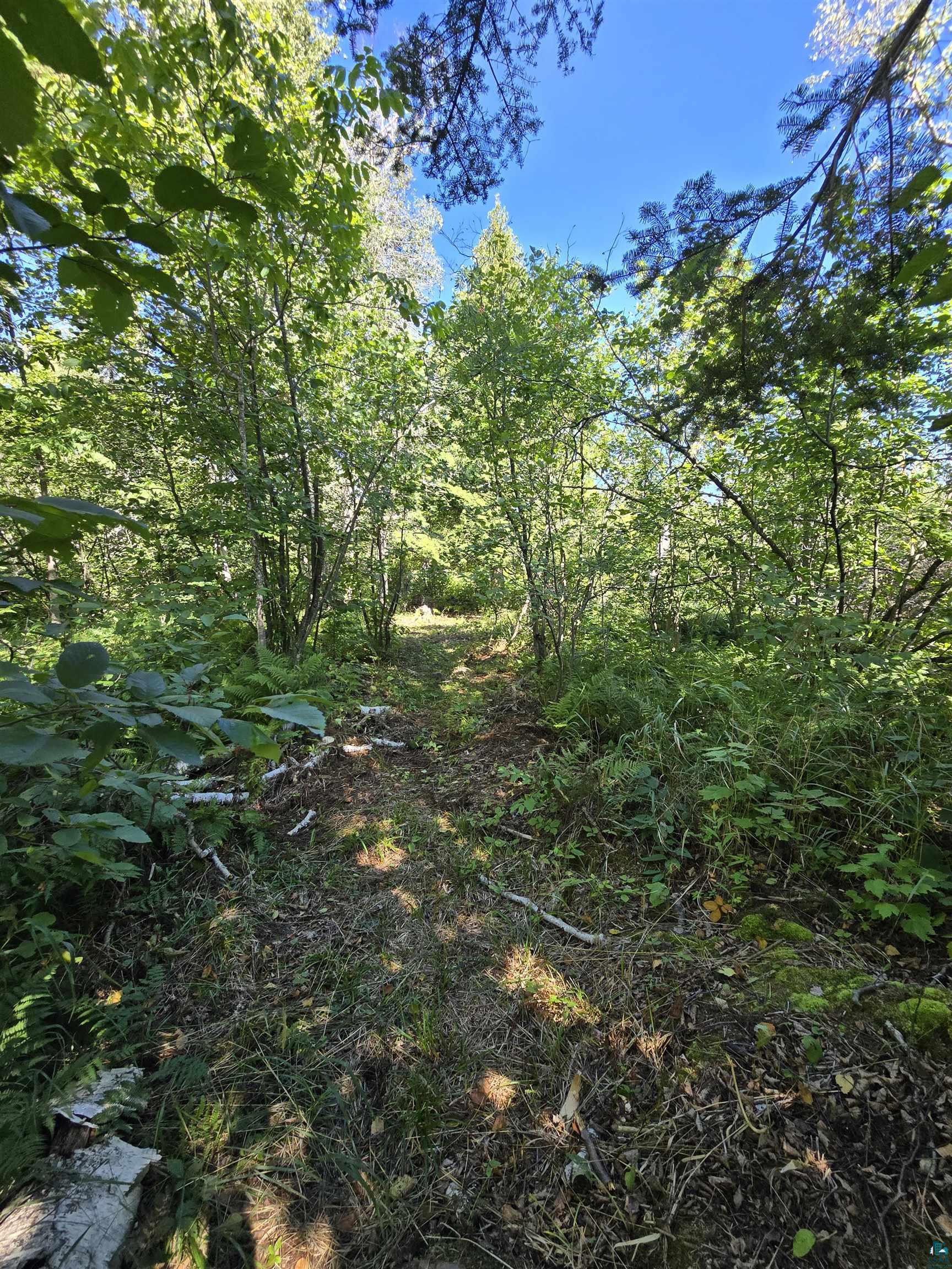 4 Steam Engine Road Lutsen, MN 55612 - Photo 19 of 29 Gallery Image 19