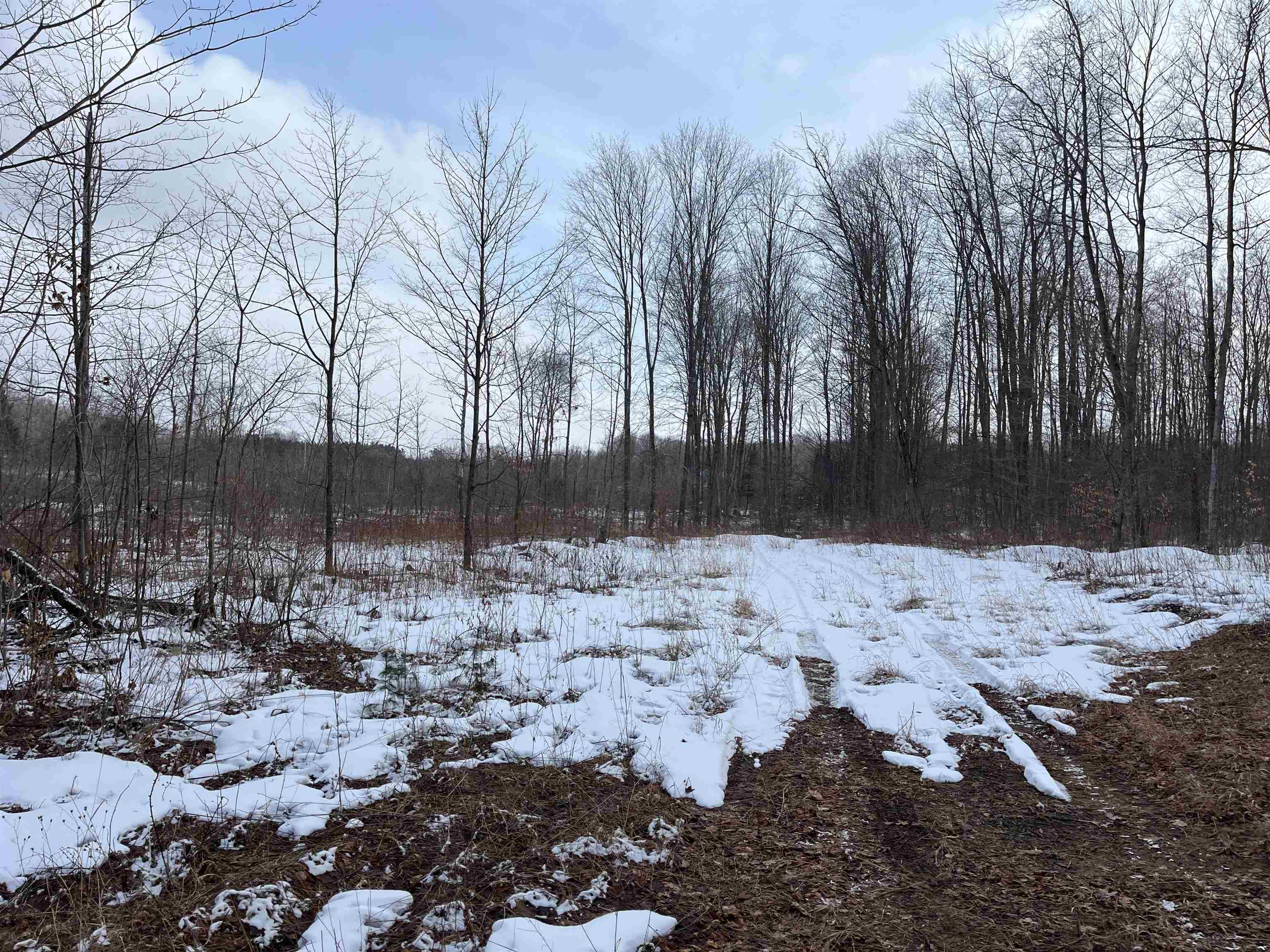 3 King Road, Unit LOT: 3 Benzonia, MI 49616 - Photo 10 of 14