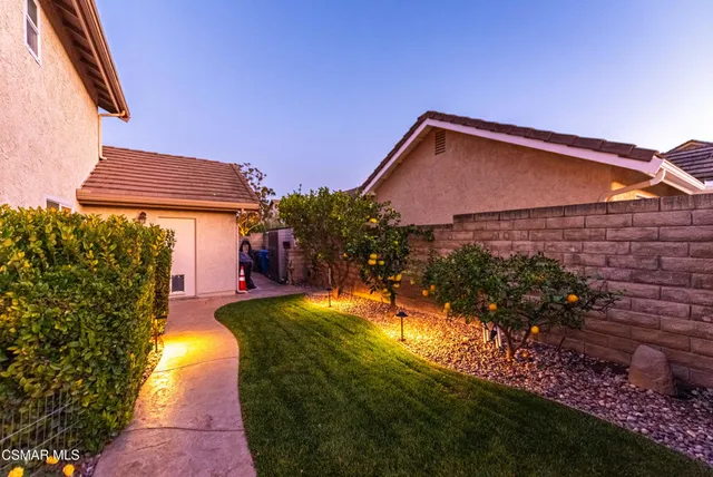 a view of a yard with plants